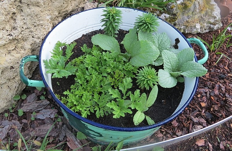Kübel, Topf und Blumenkasten für den Balkon