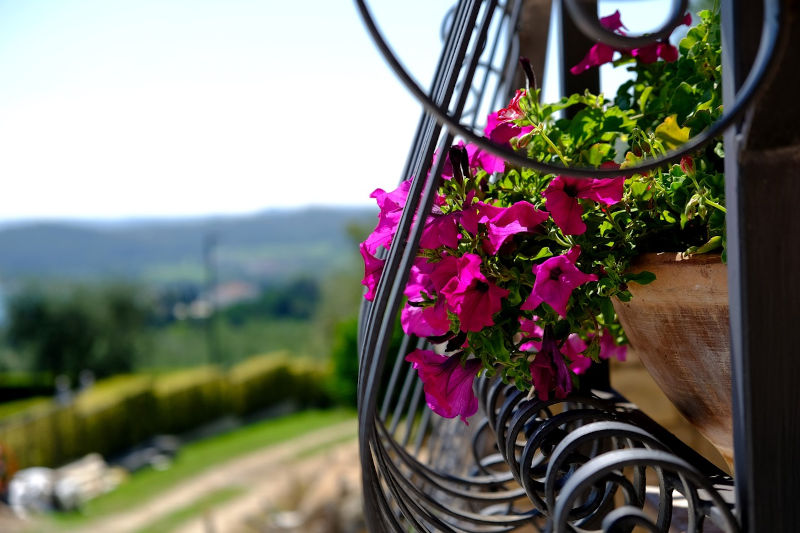Balkongarten: Ideen und Tipps