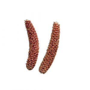 Die Fichte im Wald und im Garten Nadelbäume 