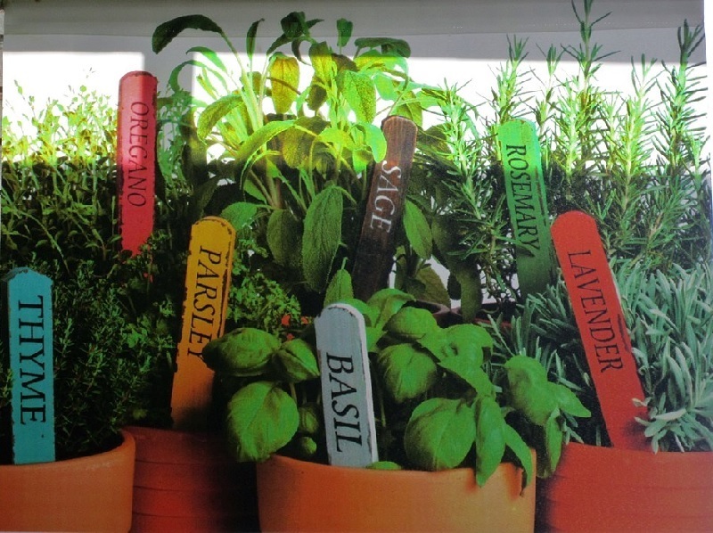 Garten auf dem Balkon: Ideen für die Gestaltung