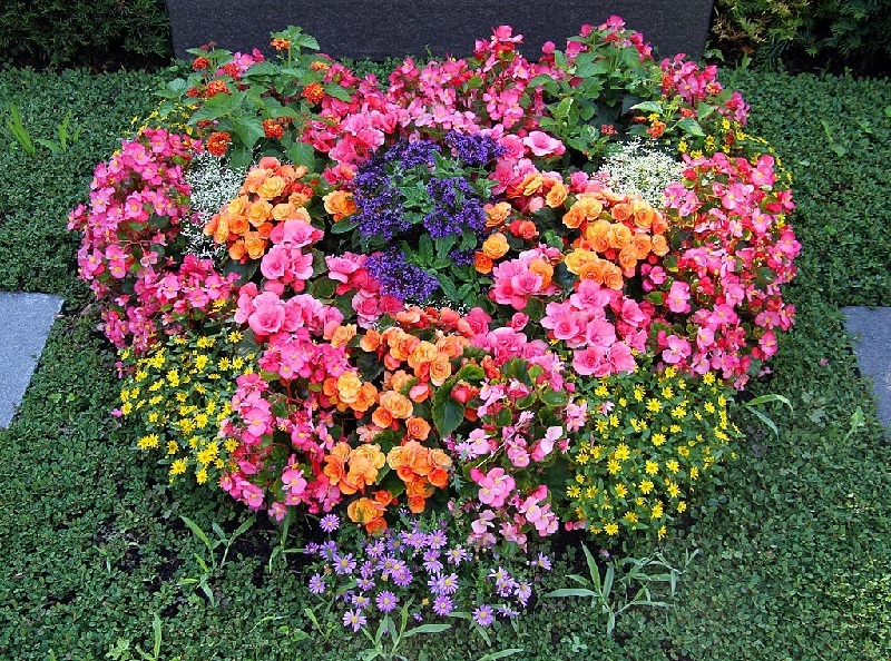 Grabbepflanzung im Sommer Grabbepflanzung