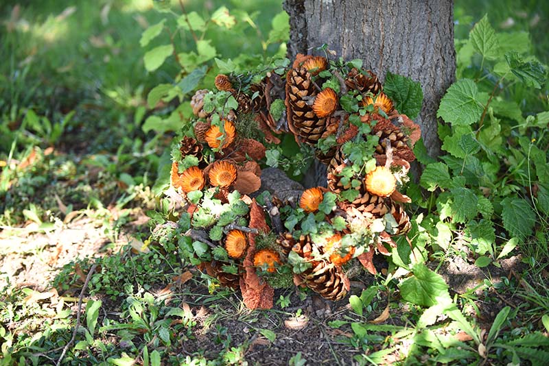 Grabbepflanzung im Herbst Grabbepflanzung