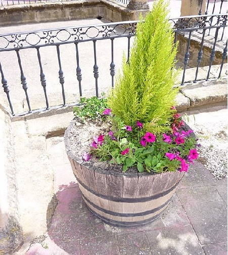 Kübel, Topf und Blumenkasten für den Balkon