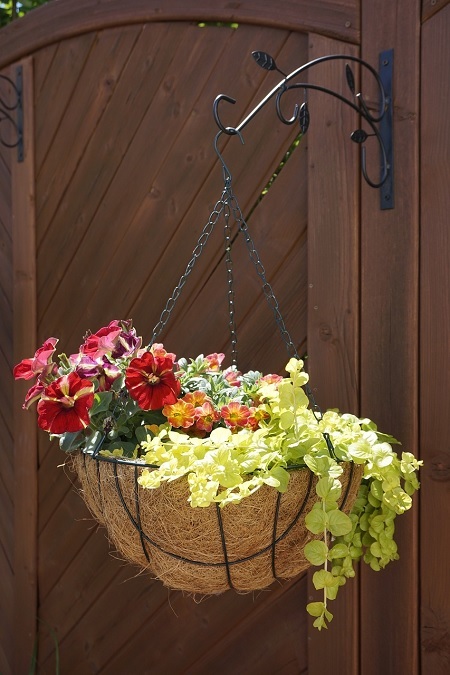 Kübel, Topf und Blumenkasten für den Balkon