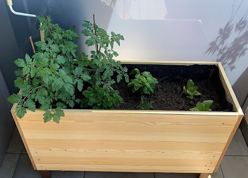 Kübel, Topf und Blumenkasten für den Balkon
