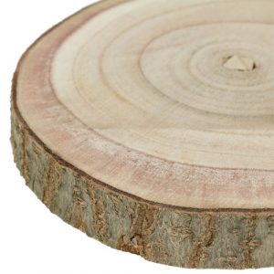 Jahresringe – das Logbuch der Bäume Wissenswertes 