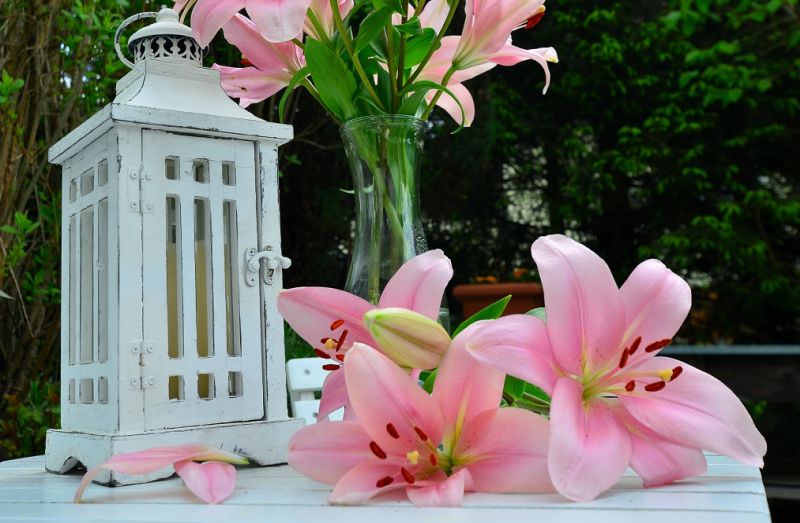 Garten auf dem Balkon: Ideen für die Gestaltung