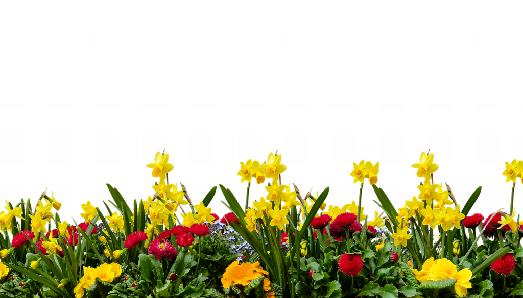 Gartenlexikon: Pflanzenfamilien A bis Z