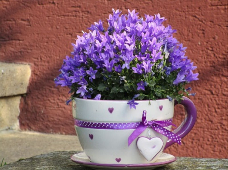 Kübel, Topf und Blumenkasten für den Balkon