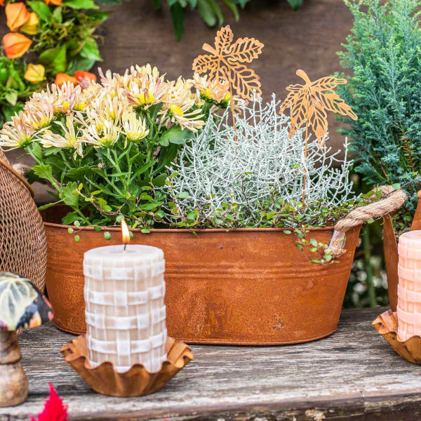 Garten auf dem Balkon: Ideen für die Gestaltung