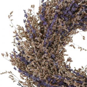 Strandflieder Exoten 