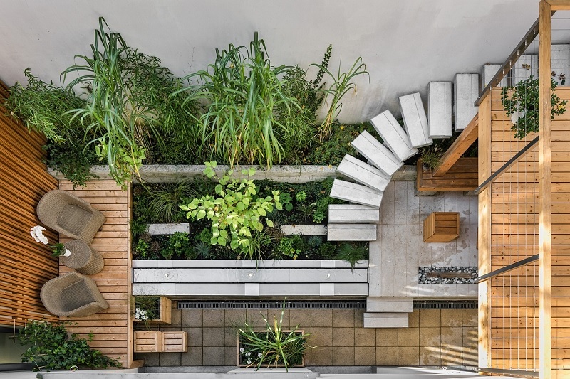 Terrasse bepflanzen: Einige Terrassenpflanzen vorgestellt