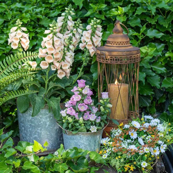 Garten auf dem Balkon: Ideen für die Gestaltung