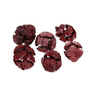 Zypresse – Konifere aus dem Mittelmeerraum Nadelbäume 