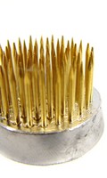 Disposizione dei fiori riccio D come decorazione 