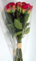 imballaggio imbuto I piace Ikebana 