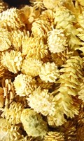 zipolo Z come zinnio 