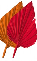Palm Spear P per presentazione del prodotto 