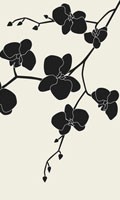 orchidea nera Simbolismo del colore NERO 