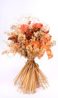 bouquet a secco B per botanica 