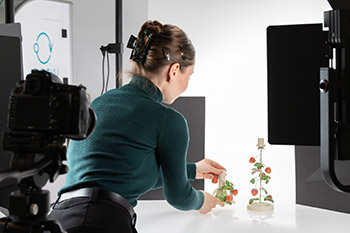 Firmensitz Floristik24 in Borna – Fotografie