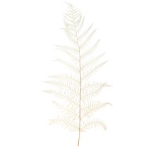Kategorie Naturartikel gebleicht