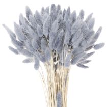 Kategorie Trockenblumen