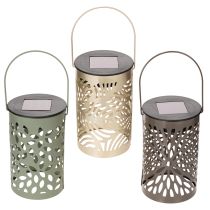 Kategorie Lampion & Windlicht