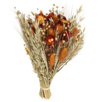 Kategorie Trockenblumen