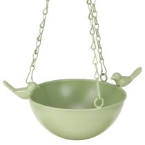 Kategorie Vogelhäuser & Nistkasten