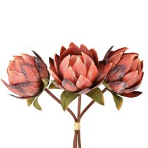 Kategorie Exotische Blumen