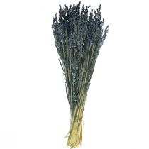 Artikel Trockenblumen, Hafer getrocknetes Getreide Deko Blau  68cm 230g