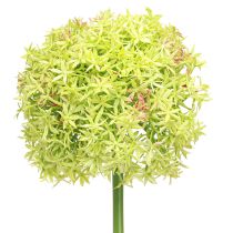 Artikel Allium grüne Blüte Künstlicher Zierlauch Ø18cm 90cm