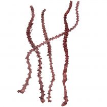 Artikel Banana Stem Rot, weißgewaschen 20 St