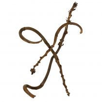 Artikel Banana Stick Natur groß 10 St