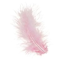 Artikel Bastelfedern Rosa Vogelfedern Frühling Ostern 5–10cm 20g