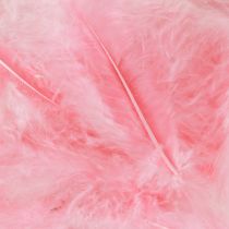 Artikel Bastelfedern Rosa Vogelfedern Frühling Ostern 5–10cm 20g
