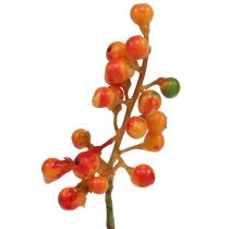 Artikel Beerenbund Orange L20cm