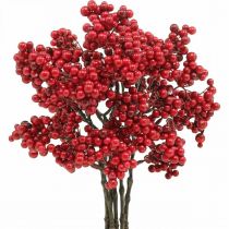 Artikel Deko Zweig mit roten Beeren Beerenzweig Herbstdeko 26cm 6St