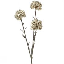 Artikel Dekozweig Künstlicher Beerenzweig Champagner 46cm