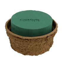 Artikel Nass Steckschaum mit Schale für Blumen H10cm Ø16cm 2 St