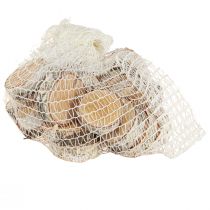 Artikel Birkenscheiben mit Rinde Baumscheiben geweißt Ø5-6cm 24 St