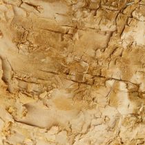 Artikel Übertopf rund Naturdeko Rinde Birkentopf Ø12cm H10cm 5St