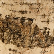 Artikel Birkentopf Übertopf aus Rinde mit Folie Ø15cm H13cm 3St