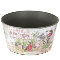 Artikel Blumenschale Vintage Plastik Fresh Garden Bunt Ø21cm 2St