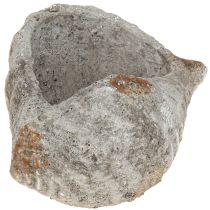 Artikel Blumentopf Muschel Stein Antik Grau Maritim 22×18×13cm