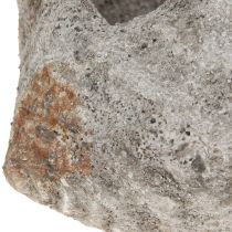 Artikel Blumentopf Muschel Stein Antik Grau Maritim 22×18×13cm