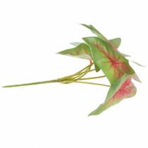 Artikel Künstliche Kaladie sechsblättrig Grün/rosa Künstliche Pflanze wie echt !