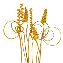 Artikel Cane Sortiment mini goldgelb 75 St