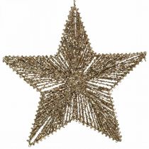 Artikel Christbaumschmuck, Adventsdeko, Stern-Anhänger Golden B30cm 4 St